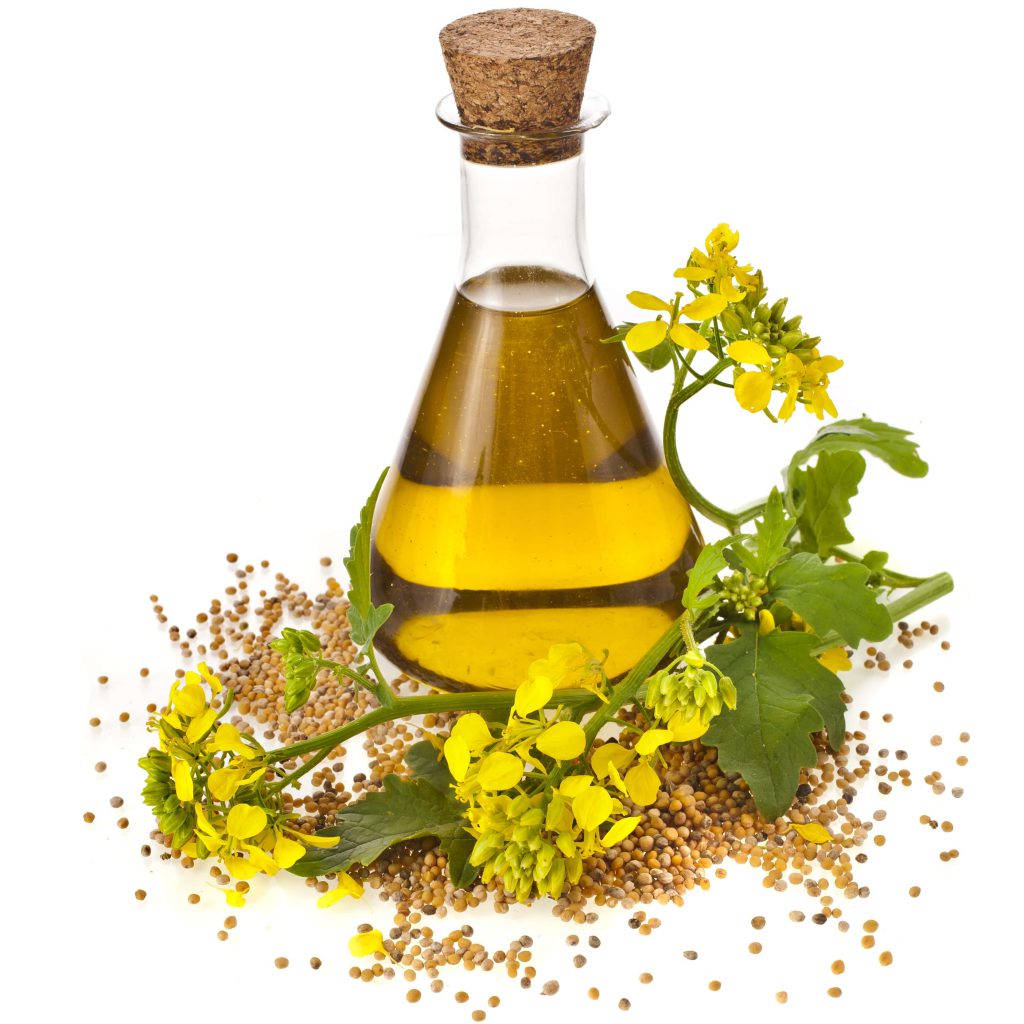 روغن مناسب برای برطرف کردن خشکی پوست نوزاد