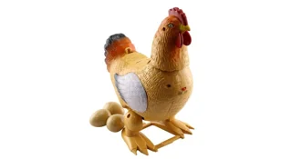مرغ تخم گذار