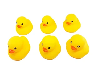 پویت اردک حمام کوچک 6 عددی